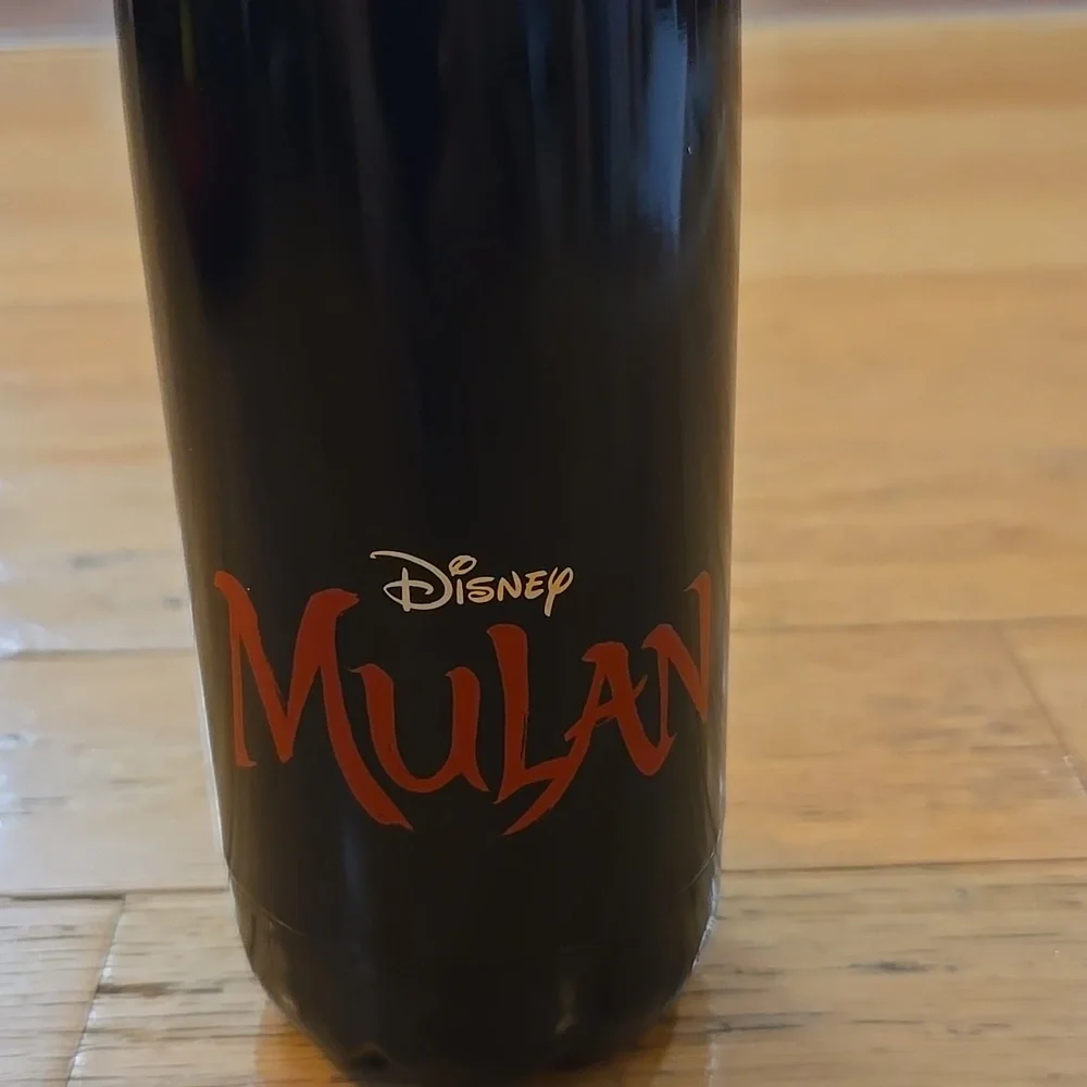 Disney Mulan Universal 13